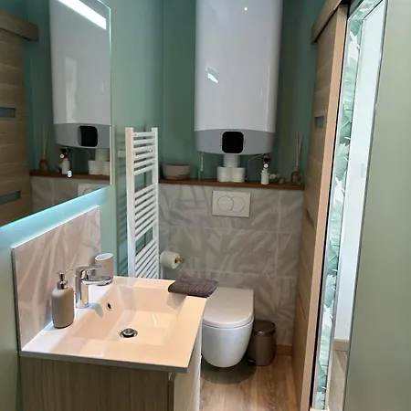 Le Gary Cosy, Climatise, Centre * Dijon