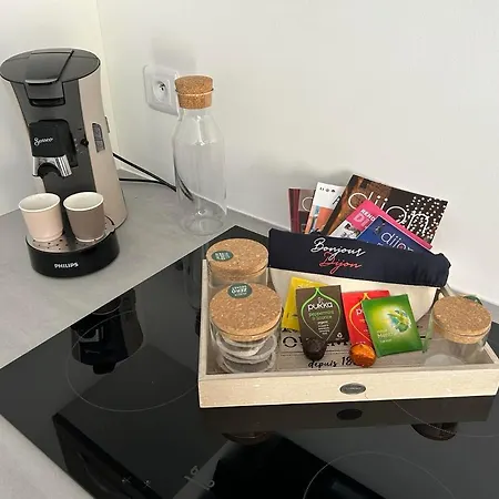 Le Gary Cosy, Climatise, Centre Dijon