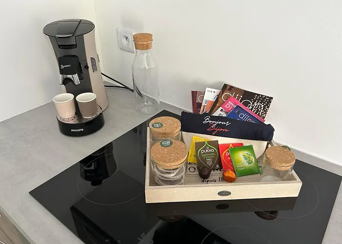 Le Gary Cosy, Climatisé, Centre Digione